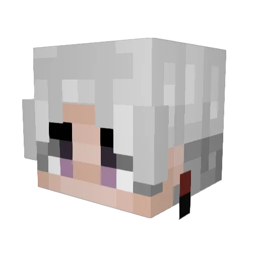 Fictionlilsleepy Minecraft avatar head, 3D render