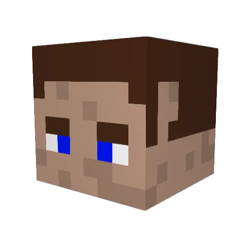 Fid0 Minecraft avatar head, 3D render