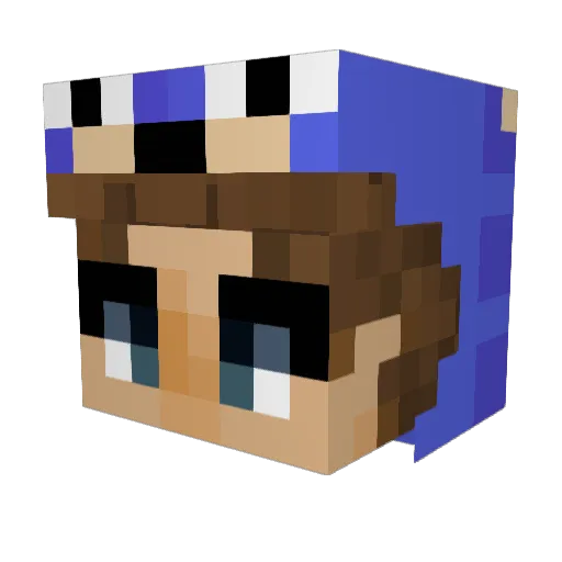 Fiddgrn Minecraft avatar head, 3D render