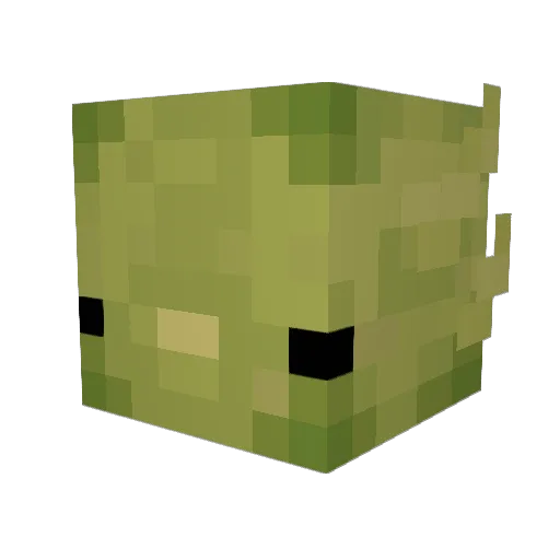 FiddleEdwardo Minecraft avatar head, 3D render
