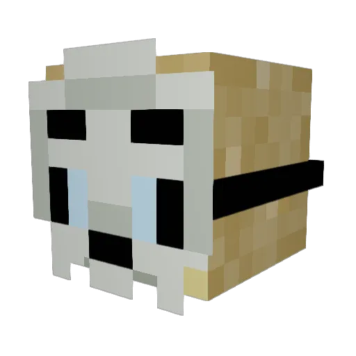 FiddleFishSticks Minecraft avatar head, 3D render
