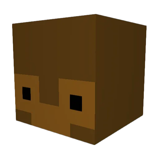 Minecraft-Avatar von Fiddler0: Kopf als 3D-Render