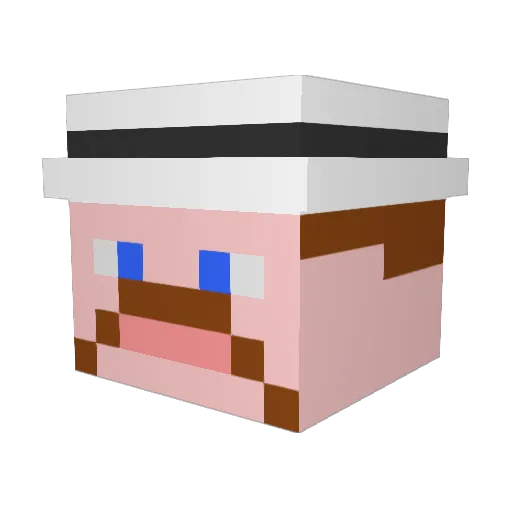 FiddyRules Minecraft avatar head, 3D render