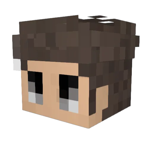 Fidelis77 Minecraft avatar head, 3D render