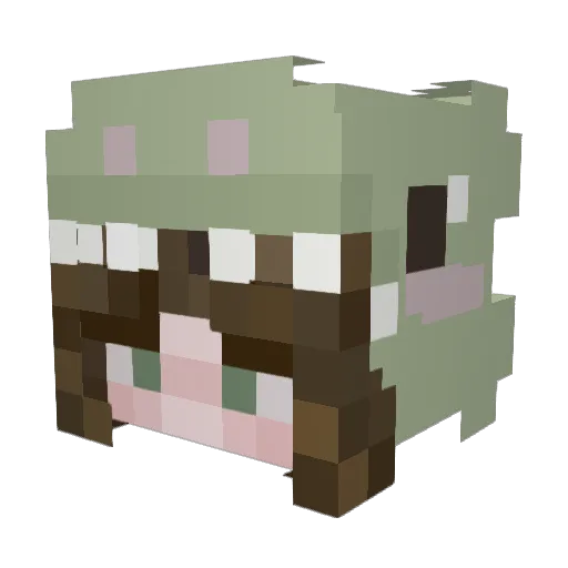 Fidgenmoot Minecraft avatar head, 3D render