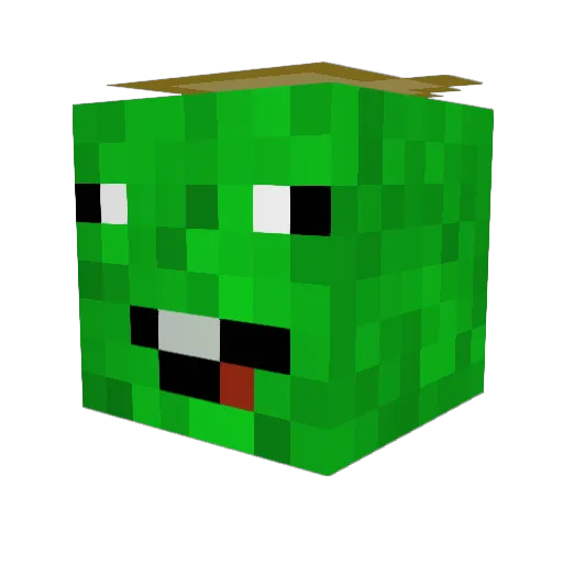 FidgetGod18 Minecraft avatar head, 3D render
