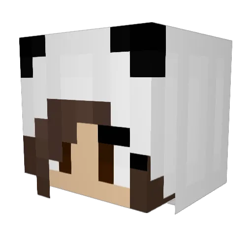 Fidgit40 Minecraft avatar head, 3D render