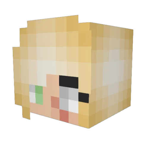 Fidimal Minecraft avatar head, 3D render