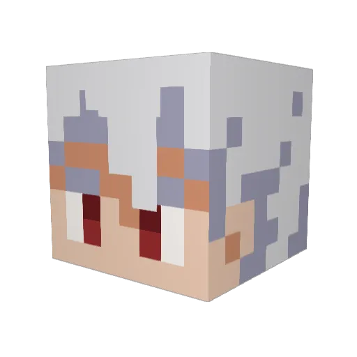 FidoCat Minecraft avatar head, 3D render