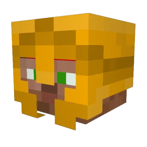 Fidoc Minecraft avatar head, 3D render