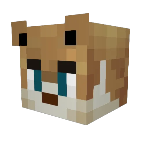Fidosan Minecraft avatar head, 3D render