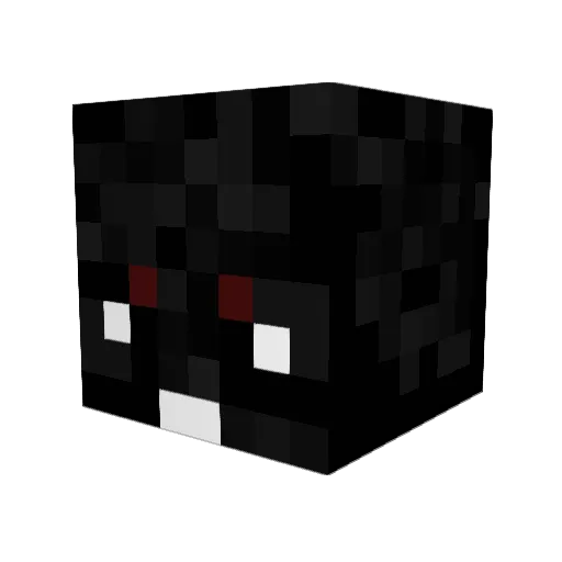 Fiedran Minecraft avatar head, 3D render
