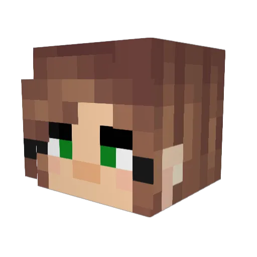 Fieeee Minecraft avatar head, 3D render