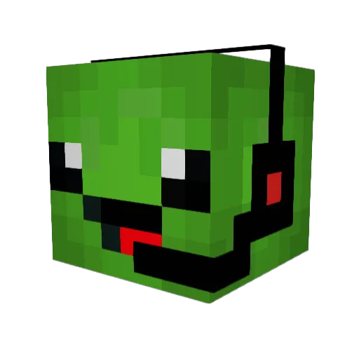 Field0rb Minecraft avatar head, 3D render