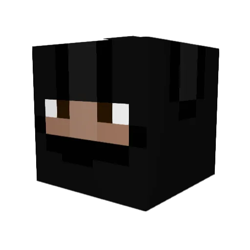 Field_of_IQ Minecraft avatar head, 3D render