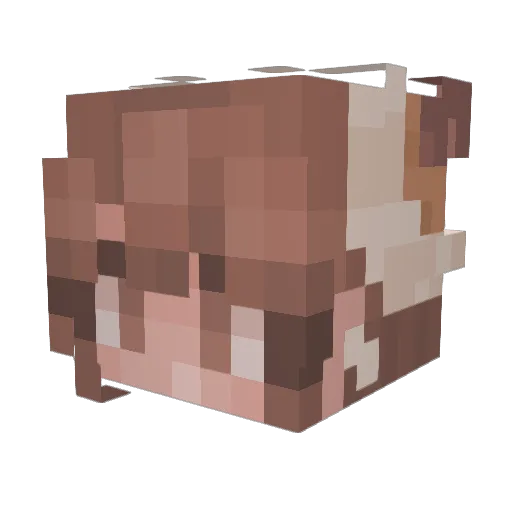 Fieldex Minecraft avatar head, 3D render
