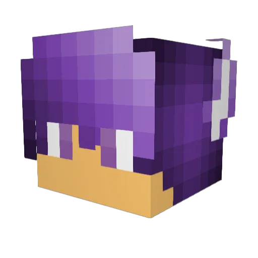 FieldingForReal Minecraft avatar head, 3D render