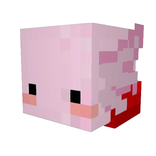Fieldmouse38 Minecraft avatar head, 3D render