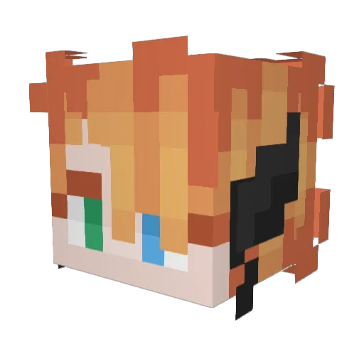 Fieldofcloverz Minecraft avatar head, 3D render