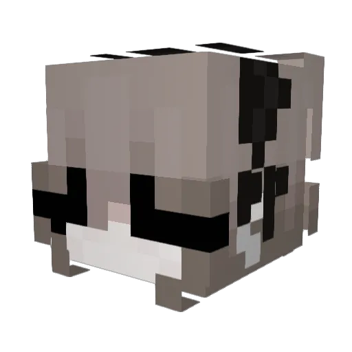 Fielen Minecraft avatar head, 3D render