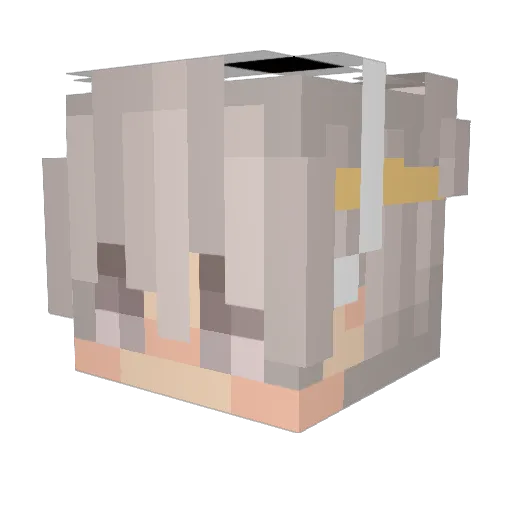 FienTwee Minecraft avatar head, 3D render