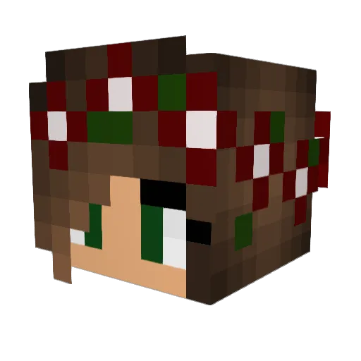 Fiene2857 Minecraft avatar head, 3D render