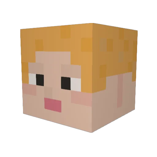 Fienep Minecraft avatar head, 3D render