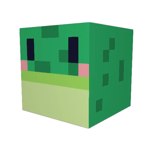 FieraGoose Minecraft avatar head, 3D render