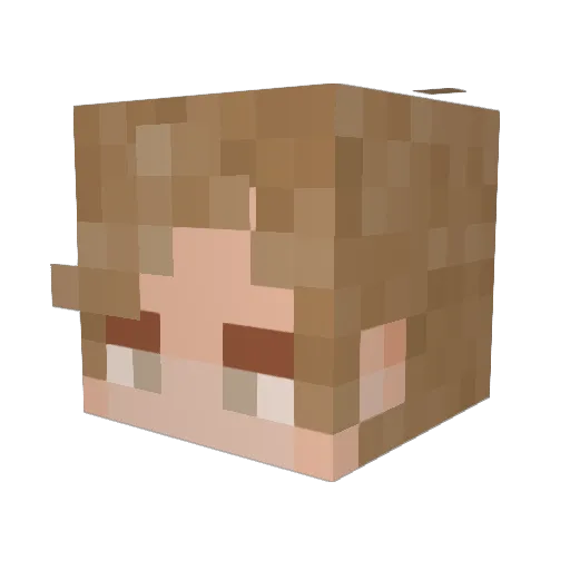 FierceDeity77 Minecraft avatar head, 3D render