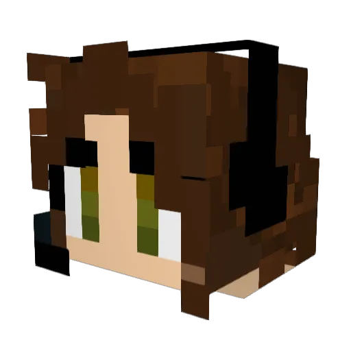 FierceFireFly100 Minecraft avatar head, 3D render