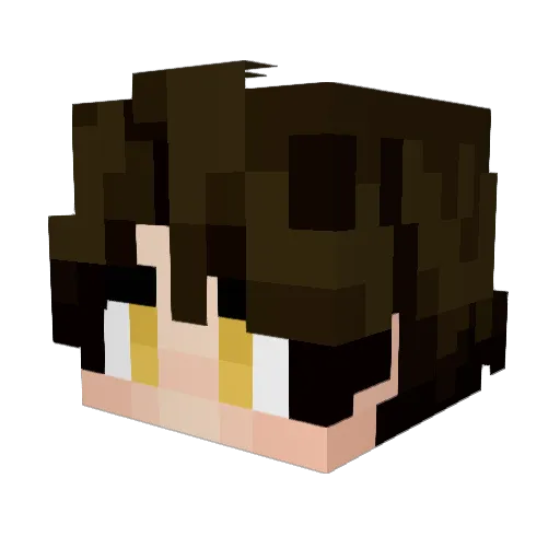 FierceFox1533 Minecraft avatar head, 3D render