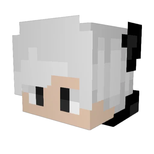 Fiercedeity8826 Minecraft avatar head, 3D render
