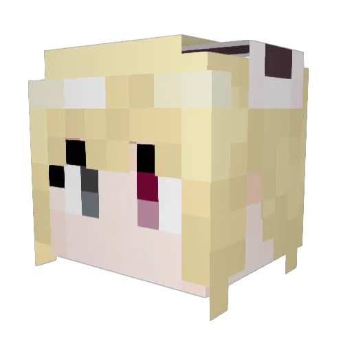 Fiers Minecraft avatar head, 3D render