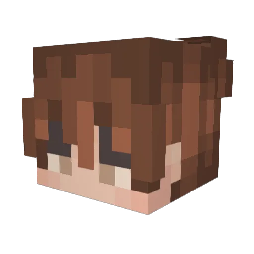 FieryBaconBits Minecraft avatar head, 3D render