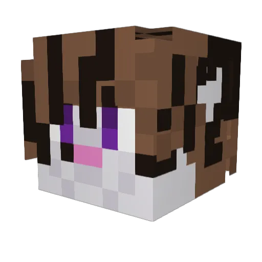 FieryForce0 Minecraft avatar head, 3D render