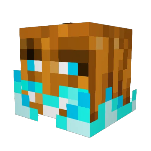 FieryGamerPro Minecraft avatar head, 3D render