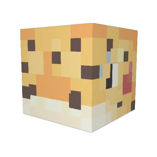 FieryRae Minecraft avatar head, 3D render