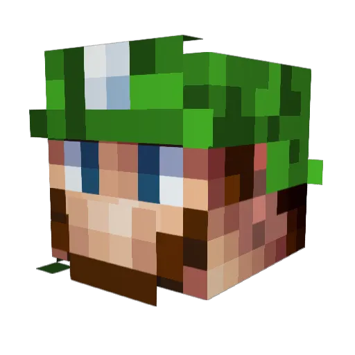 Fieryluigi Minecraft avatar head, 3D render
