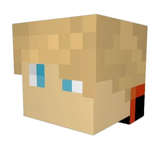 Fiesta2013 Minecraft avatar head, 3D render