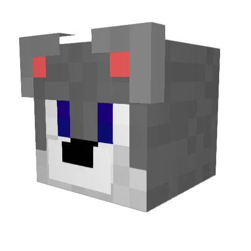 FiestaDog11 Minecraft avatar head, 3D render