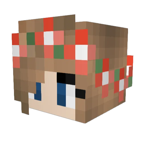 FiestyPanda Minecraft avatar head, 3D render