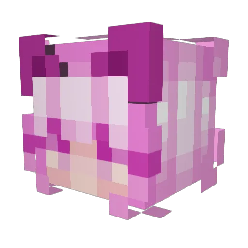 Fiestypotat0 Minecraft avatar head, 3D render