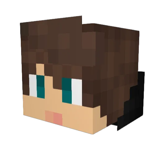 Fietlie Minecraft avatar head, 3D render