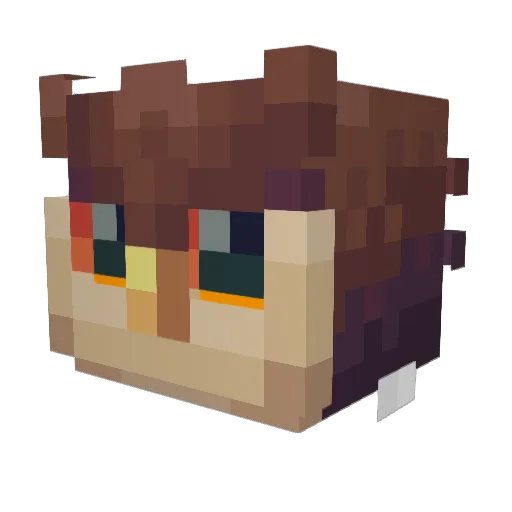 FifSis Minecraft avatar head, 3D render