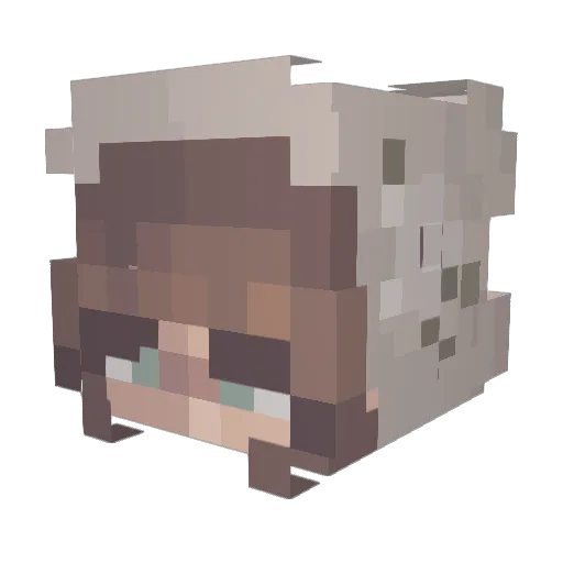 Fifa4065 Minecraft avatar head, 3D render
