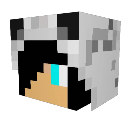 Fiff99 Minecraft avatar head, 3D render