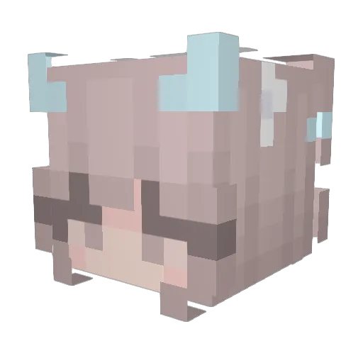 Fiffi700 Minecraft avatar head, 3D render