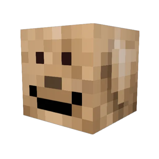 Fifi007 Minecraft avatar head, 3D render