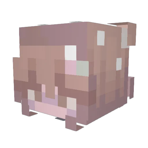 Fifi1323 Minecraft avatar head, 3D render