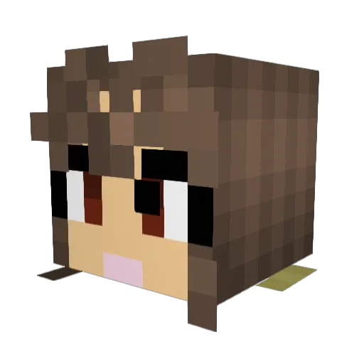 FifiOcean Minecraft avatar head, 3D render